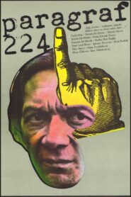 Paragraf 224 1980 one on netflix