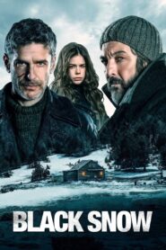 Black Snow 2017 one on netflix