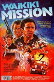 Waikiki 1980 one on netflix