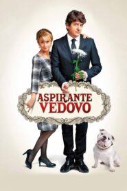 Aspirante vedovo 2013 one on netflix