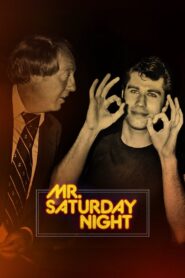 Mr. Saturday Night 2021 one on netflix