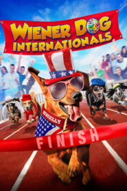 Wiener Dog Internationals 2015 one on netflix