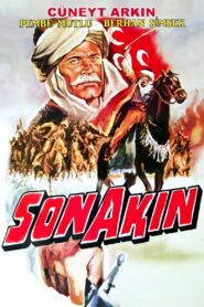 Son Akın 1982 one on netflix