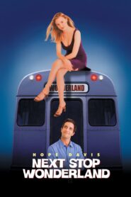 Next Stop Wonderland 1998 one on netflix