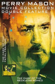 Perry Mason: The Case of the Reckless Romeo 1992 one on netflix