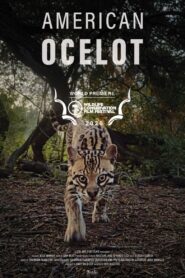 American Ocelot 2021 one on netflix