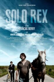 Solo Rex 2014 one on netflix