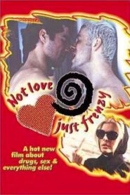 Not Love, Just Frenzy 1996 one on netflix