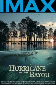Hurricane on the Bayou 2006 one on netflix