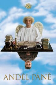 Angel 2005 one on netflix