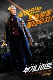 Boogie Nights 2022 one on netflix