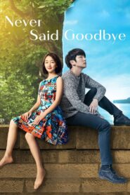 Never Said Goodbye 2016 one on netflix