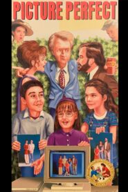 Picture Perfect 1995 one on netflix