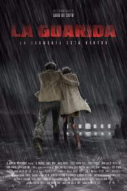 The Den 2018 one on netflix