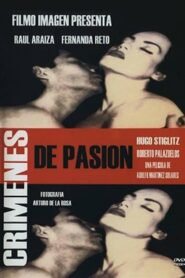 Crimes of Passion 1995 one on netflix