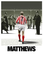 Matthews 2017 one on netflix