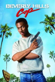 Beverly Hills Cop 1984 one on netflix