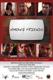 Among Friends 2009 one on netflix