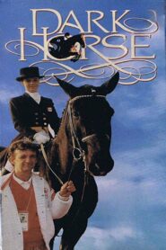 Dark Horse 1990 one on netflix