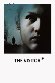 The Visitor 2008 one on netflix