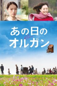 Organ 2019 one on netflix