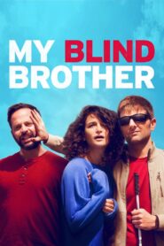 My Blind Brother 2016 one on netflix
