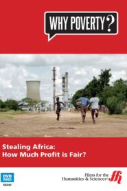 Stealing Africa 2012 one on netflix