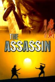 The Assassin 1993 one on netflix