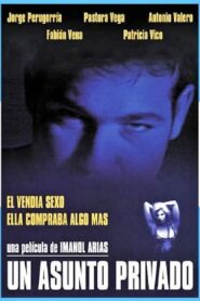 Un asunto privado 1996 one on netflix