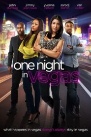 One Night in Vegas 2013 one on netflix