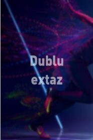 Double Ecstasy 1998 one on netflix