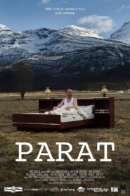Parat 2009 one on netflix