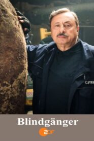 Blindgänger 2015 one on netflix