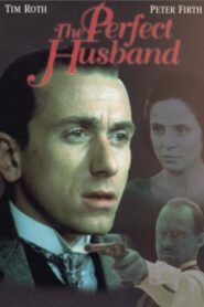 The Perfect Husband 1993 one on netflix
