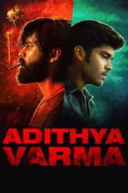 Adithya Varma 2019 one on netflix