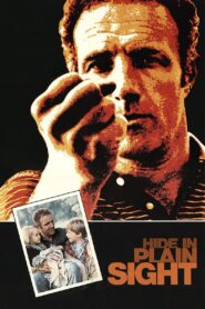 Hide in Plain Sight 1980 one on netflix