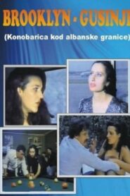 Brooklyn – Gusinje 1988 one on netflix