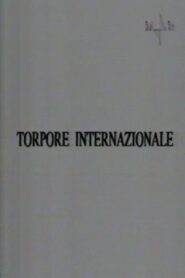 Torpore internazionale 1993 one on netflix