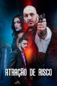 Risk Attraction 2020 one on netflix