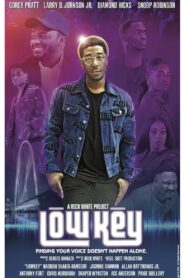 Low Key 2020 one on netflix
