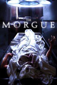 The Morgue 2008 one on netflix