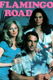 Flamingo Road 1980 one on netflix