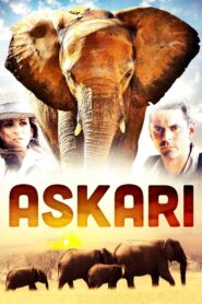 Askari 2001 one on netflix