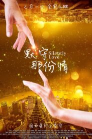 Silently Love 2015 one on netflix