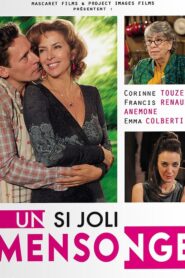 Un si joli mensonge 2014 one on netflix