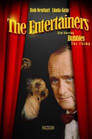 The Entertainers 1991 one on netflix