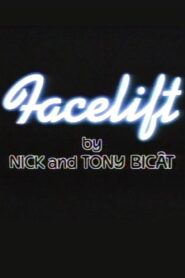 Facelift 1984 one on netflix
