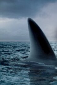 Ocean of Fear 2007 one on netflix