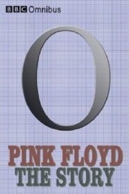 Pink Floyd: The Story 1994 one on netflix