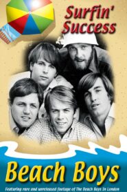 Beach Boys: Surfin’ Success 2008 one on netflix